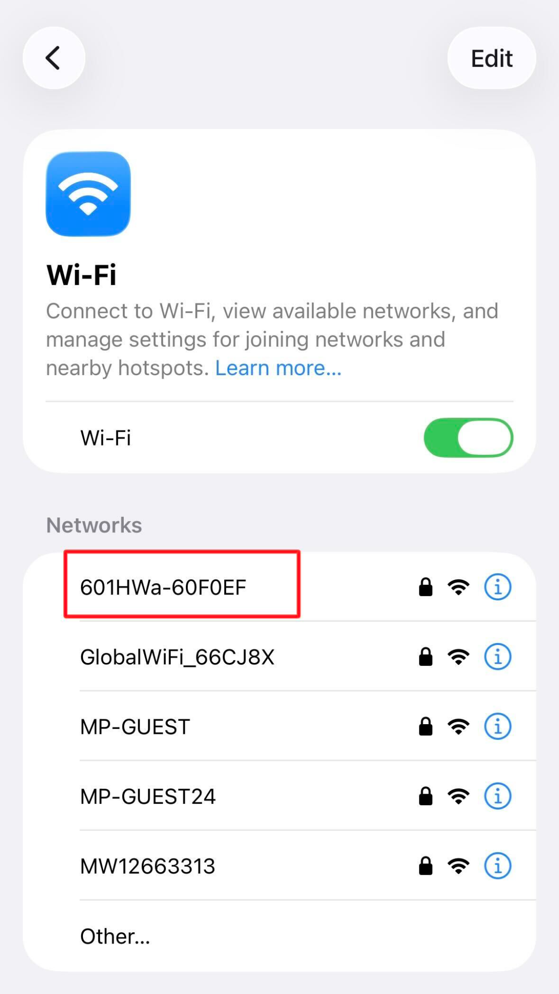 Pocket WiFi network listed among other rental router networks in an iPhone's WiFi settings